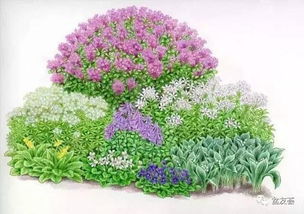 101張超高清精品手繪花境，驚艷你的視覺 下 化妝品