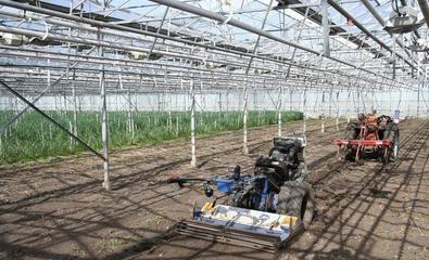 智能機器人驅動的植物工廠 化妝品原料生產的新革命